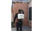 Best Exterminator service in Scoresby