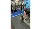 Best Personal Trainer in Essendon