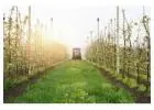 Plant nutrition Australia