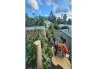 Best Tree Removal service in Gheerulla