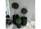 Position Artificial Topiary Trees to Experience Timeless Green Elegance