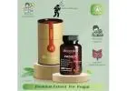 Buy Progut Capsule Online – Natural Gut Care by Aksvedas