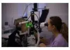 Fast & Reliable Westchester Eye Care – Dr. Kerline Marcelin MD