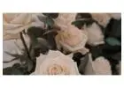 Plan Your Dream Elopements Anna Maria with Certified Cupid