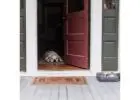 Expert Pet Door Sales and Installation in San Diego | Pet Independence