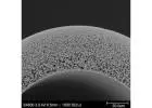Buy Hollow Fiber Membrane in USA | Oxymotec