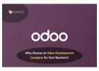Why Choose an Odoo Development Company for Your Business?