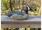 Premium Blue Winged Teal Decoys for Waterfowl Hunters