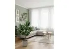 Give Your Home a Mediterranean Vibe with a Faux Olive Tree