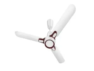 Stay Cool in Style with Hindware Snowcrest Decorative Fans Stay Cool in Style with Hindware Snowcrest Decorative Fans
