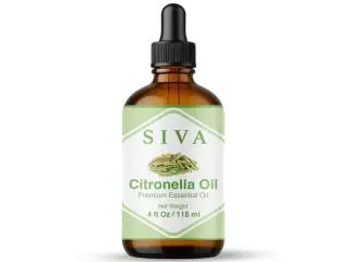 Buy the Best Citronella Essential Oil | Natural Benefits for Skin, Home & Candles Buy the Best Citronella Essential Oil | Natural Benefits for Skin, Home & Candles