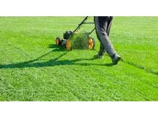 Best Lawn Care service in Underwood Best Lawn Care service in Underwood