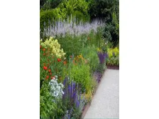 Best Landscape Design service in Giffard Park Best Landscape Design service in Giffard Park