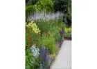 Best Landscape Design service in Giffard Park