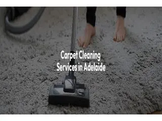 Get a 14-day satisfaction guarantee with all-inclusive Carpet Cleaning Services Adelaide Get a 14-day satisfaction guarantee with all-inclusive Carpet Cleaning Services Adelaide