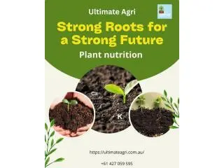 Plant nutrition Plant nutrition