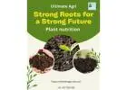 Plant nutrition