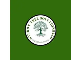 Sturdy Tree Solutions LLC Sturdy Tree Solutions LLC