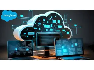 What Does Salesforce Do | Site It Now What Does Salesforce Do | Site It Now