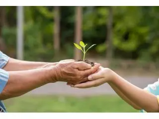 Bharti Enviro Services – Top Environmental Consultancy in India Bharti Enviro Services – Top Environmental Consultancy in India