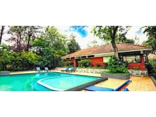 Premium Swimming Pool Resort in Wayanad – Experience The Windflower Resort Premium Swimming Pool Resort in Wayanad – Experience The Windflower Resort