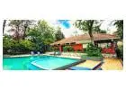 Premium Swimming Pool Resort in Wayanad – Experience The Windflower Resort