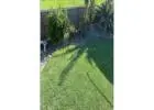 Best Lawn Care service in Green Point