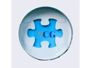 Mold Consultant Group Mold Consultant Group