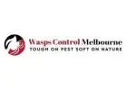 wasp nest removal services Melbourne