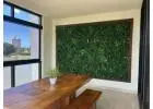 Elegant Artificial Green Walls in Sydney to Create Effortless Natural Charm Indoors