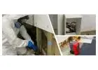 Struggling with Mold and Need Mold Removal Melbourne?