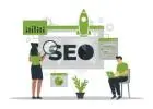 Professional SEO Services | Boost Your Rankings with Evitamin