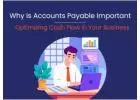 Outsource Accounts Payable Services