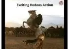 Experience the Best Live Rodeo Action Across Idaho