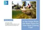 Is the Greys River the Best Place for Your Next Fishing Trip?