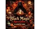 Black Magic Specialist in North York
