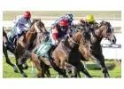 How Does a Quaddie Work in Horse Racing? Explained