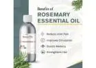 Rosemary Essential Oil – Boost Focus, Hair Growth & Natural Wellness | Raasa Oils