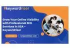 Grow Your Online Visibility with Professional SEO Services in USA - Keywordriser