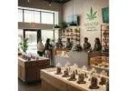 Paradise Cannabis: Premier Weed Store in Pembroke