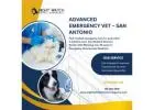 Immediate San Antonio Emergency Veterinary Hospital for Critical Pets