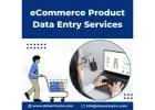 Best Ecommerce Product Data Entry Services in India