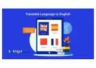 Linguidoor provides comprehensive translation services
