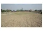 Residential Plot In Gurgaon for Sale