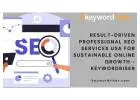 Result-Driven Professional SEO Services USA for Sustainable Online Growth - Keywordriser