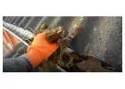 Best Gutter Cleaning service in Harlesden