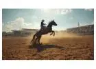 Catch Live Rodeo Action Close to Home