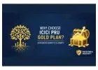 ICICI Pru Gold Plan Details: Guaranteed Benefits and Features of The Policy