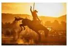 Get Ready for Live Rodeo Action Today