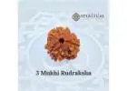 3 mukhi rudraksha